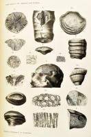 A Balatonmellék paleontológiája. Kiad.: A Magyar Földrajzi Társaság Balaton-bizottsága. 1. köt. Bp.,...