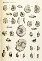 A Balatonmellék paleontológiája. Kiad.: A Magyar Földrajzi Társaság Balaton-bizottsága. 4. köt. Bp.,...