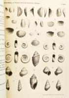 A Balatonmellék paleontológiája. Kiad.: A Magyar Földrajzi Társaság Balaton-bizottsága. 4. köt. Bp.,...