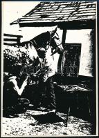 1975 Bakosfalvi Károly Balmazújvárosban készített vintage fotóművészeti alkotása (Patkoló kovács), ezüst zselatinos fotópapíron, feliratozva, ami részlegesen olvasható átvilágítva a hordozó albumlapot, 24x17 cm