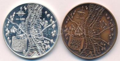 Fritz Mihály (1947-) 1988. "MÉE - A nagy árvíz emlékére - Wesselényi Miklós / Pesti árvíz 1838&...