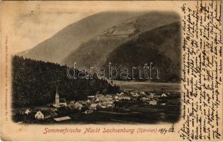 1902 Sachsenburg (Kärnten) Verlag Adolf Pichler (EB)