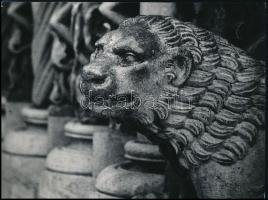 1965 Kocsis Iván (1931-2020) váci fotóművész feliratozott, vintage fotóművészeti alkotása (Oroszlánfej, Ják), ezüst zselatinos fotópapíron, 18,2x24,2 cm