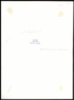 1963 Laczy Zoltán dunaújvárosi fotóriporter és fotóművész pecséttel jelzett, vintage fotóművészeti a...