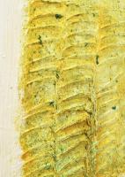 Solymosi Miklós (1967-): Színek fehérben (cím nélkül). Olaj, vászon. Jelzett a hátoldalán. 120x80 cm...