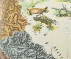 Máramaros vármegye közigazgatási térképe. Rajz.: Hátsek Ignác. 1:500000, Lampel, Litográfia 53x36 cm...