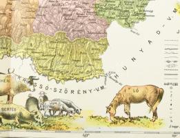 Arad vármegye közigazgatási térképe. Rajz.: Hátsek Ignác. 1:500000, Lampel, Litográfia 53x36 cm / Ar...