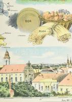 Temes vármegye közigazgatási térképe. Rajz.: Hátsek Ignác. 1:500000, Lampel, Litográfia 53x36 cm / T...