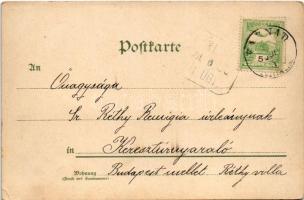 1907 Gentlemen dogs. W. Hagelberg litho (EK)