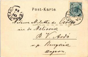 1900 Bad Gastein, v. d. Schwarzenberg-Anlagen (EK)