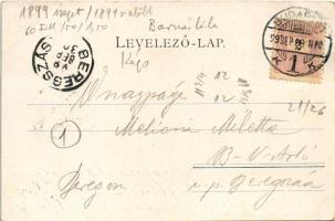 1899 (Vorläufer) Budapest, látkép (kis szakadás / small tear)