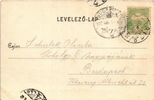 1902 Budapest XII. Kilátás a Jánoshegyről. Schwarz J. kiadása (EK)