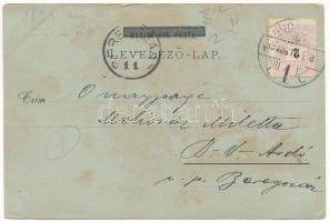 1899 (Vorläufer) Budapest XIV. Városliget, Ős Budavár nagykávéháza (ázott / wet damage)