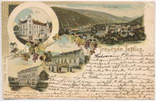 1900 Trencsénteplic, Trencianske Teplice; Jorgahaus, Villa Atilla, Villa Martinovics / fürdő látképe, nyaralók / general view, villas, spa, bath. Ottmar Zieher Art Nouveau montage with grape vines, litho (b)