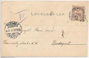 1900 Trencsénteplic, Trencianske Teplice; Jorgahaus, Villa Atilla, Villa Martinovics / fürdő látképe...