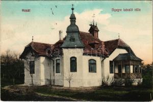 1914 Huszt, Chust, Khust; Nyegre László főispán villája (EK)