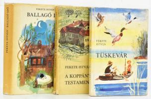 Fekete István 3 regénye: Tüskevár. Bp., 1978, Móra. Kiadói papírkötés, kissé viseltes borítóval. + Ballagó idő. Önéletrajzi regény. Bp., 1970, Móra. Első kiadás. Kiadói egészvászon-kötés, kissé sérült kiadói papír védőborítóban. + A koppányi aga testamentuma. Bp., 1968, Móra. Kiadói kartonált papírkötés, kissé sérült borítóval.