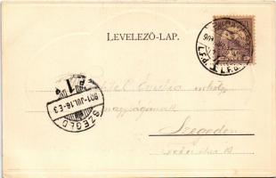 1901 Budapest XIII. Margitsziget, bejárat