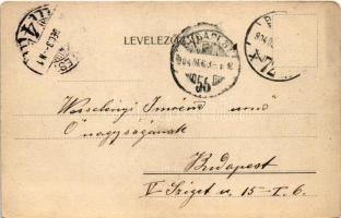 1904 Budapest XII. Babarczi Schwartzer Ottó m. kir. udvari tanácsos szanatóriuma, kilátás az Erdő pa...