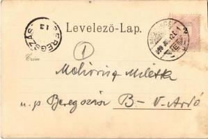 1899 (Vorläufer) Miskolc, Kossuth szobor. Lövy József fia kiadása (fl)