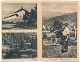 17 db RÉGI kárpátaljai képeslap egyenként lapokra ragasztva kis fotó albumban / 17 pre-1945 Transcar...