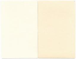 17 db RÉGI kárpátaljai képeslap egyenként lapokra ragasztva kis fotó albumban / 17 pre-1945 Transcar...