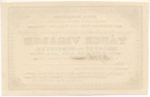 1845. "Árva megyének segélyezésére rendezett" Táncz Vigalom belépő és sorsjegye 1Ft értékb...