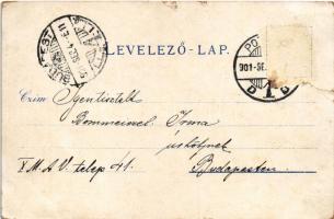 1901 Pozsony, Pressburg, Bratislava; Theater / színház / theatre (szakadás / tear)