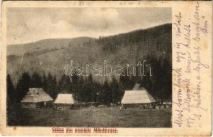 1913 Muntele Manaileasa, Stana / mountain rest houses (wet damage)