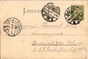 1903 Kassa, Kosice; székesegyház. Eschwig Ede kiadása, Hajts Kornél felvétele / Dom / cathedral (EK)