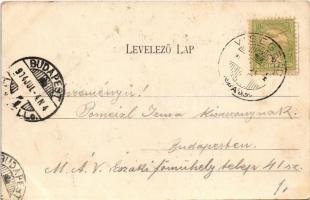 1904 Visegrád, vár, gőzhajó. Divald Károly 169. sz. (fl)