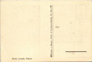 Sopron, Machatsek Gyula és Szechányi Elemér volt főiskolás bajtársunk, aki Sopronért és Nyugat-Magya...