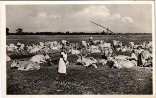 1937 Bugac (Kecskemét), Déli pihenő a gémeskútnál (EK)