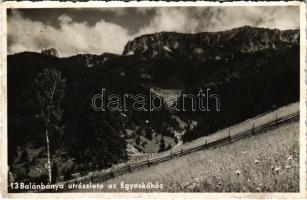 Balánbánya, Balan; út az Egyeskőhöz / road to the mountain (fl)