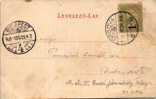 1903 Orsova, Partie aus der Széchenyistrasse / Széchenyi út részlete / road (fl)