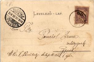 1900 Gödöllő, pályaudvar, vasútállomás (felületi sérülés / surface damage)