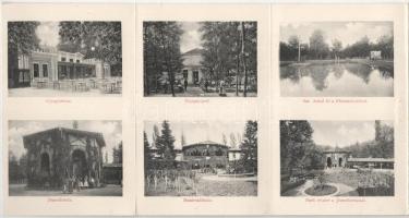 1910 Buziásfürdő, Baile Buzias; 6-részes kihajtható leporellólap / 6-tiled folding leporellocard, sp...