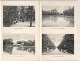 1910 Buziásfürdő, Baile Buzias; 6-részes kihajtható leporellólap / 6-tiled folding leporellocard, sp...