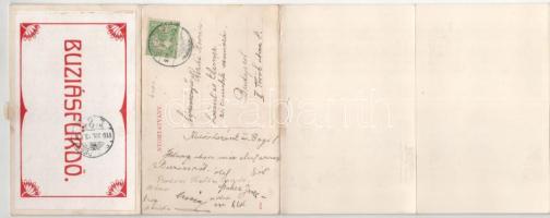 1910 Buziásfürdő, Baile Buzias; 6-részes kihajtható leporellólap / 6-tiled folding leporellocard, sp...