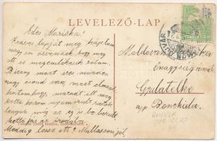 Szamosújvár, Gherla; Hitelbank r.t. épülete, Sahin Kristóf üzlete. Todorán Endre kiadása / bank, sho...