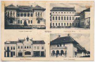 1939 Szelistye, Salistea Sibiului, Saliste; Liceul Comercial, Gimnaziul Mixt, Hotel Comunal, Baia Comunala / Gimnáziumok, szálloda, fürdő / grammar schools, hotel, bath (fl)