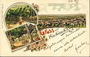 Szászrégen with park litho