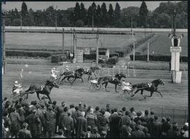 1971 Ügető, verseny befutója, befutó névsor: Ferge, Papp, Varsányi, stb., sajtófotó, 13×18 cm