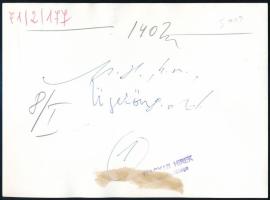 1971 Ügető, verseny befutója, befutó névsor: Ferge, Papp, Varsányi, stb., sajtófotó, 13×18 cm