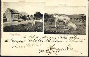 Nagybánya with cattle market