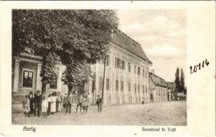 Felek, Freck, Avrig; Sanatorul in Fata / szanatórium. Ioan Schitea kiadása / sanatorium (Rb)