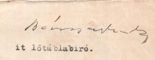 1919 március 17. A Károlyi-kormány igazságügyminisztere által kiállított okirat Juhász Nagy Sándor i...