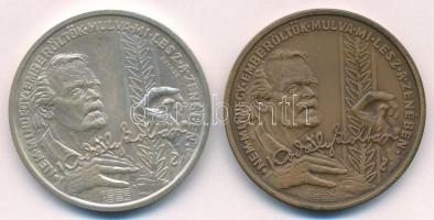 Peternák Gusztáv (1928-) 1982. "Bartók Béla 1881-1981 / Kodály Zoltán 1882-1982" Ag és bro...