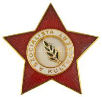 1974. "A Szocialista Kultúráért" zománcozott kitüntető jelvény, eredeti tokban T:AU
