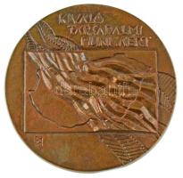 ~1970. "Kiváló társadalmi munkáért / Hazafias Népfront Országos Tanácsa" kétoldalas, öntött bronz plakett. Szign.:B.I. (96mm) T:AU